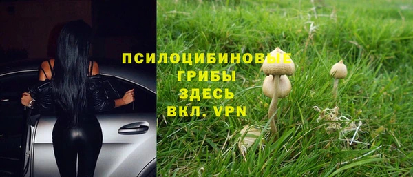 МДПВ Семикаракорск