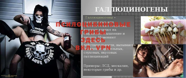 бошки Кукмор