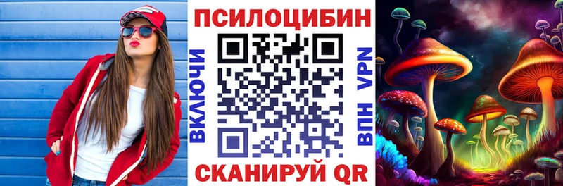 Псилоцибиновые грибы Cubensis  Купить где  Колпашево 